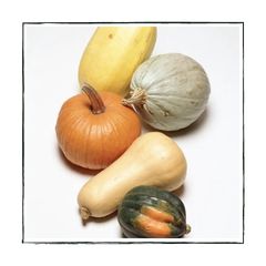 Pompoenen (7)