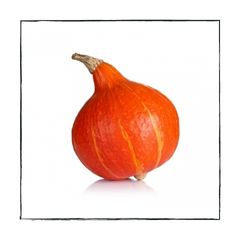 Pompoenen9
