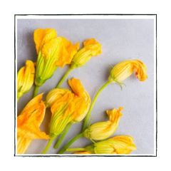 courgette (2)
