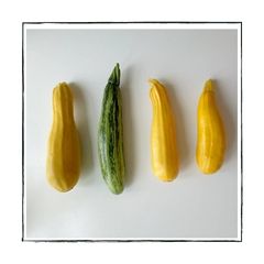 courgette (3)