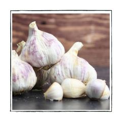 knoflook